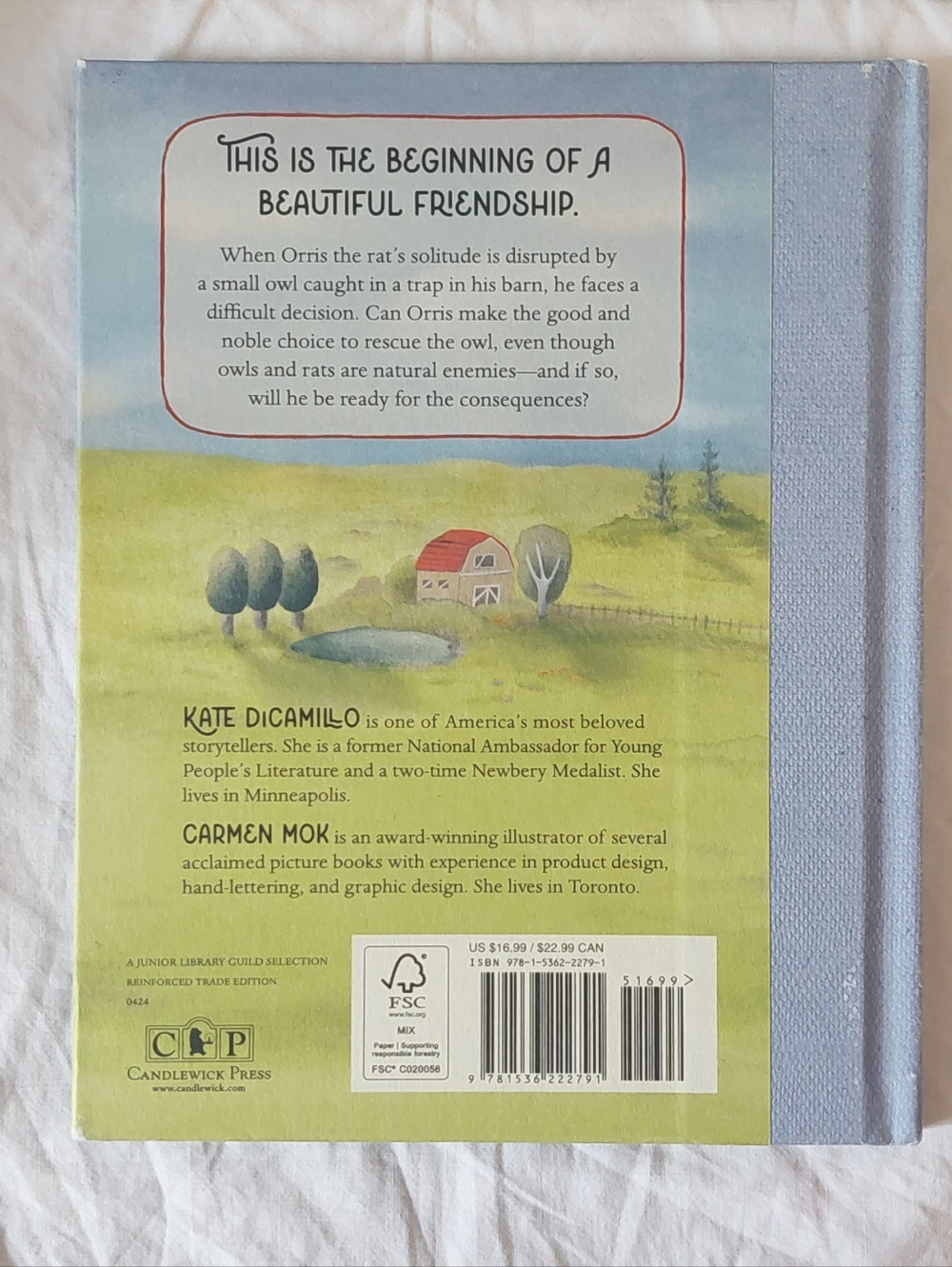 Kate DiCamillo 3 Hardback Book Bundle For Middle Grade Readers - Picture 8 of 10